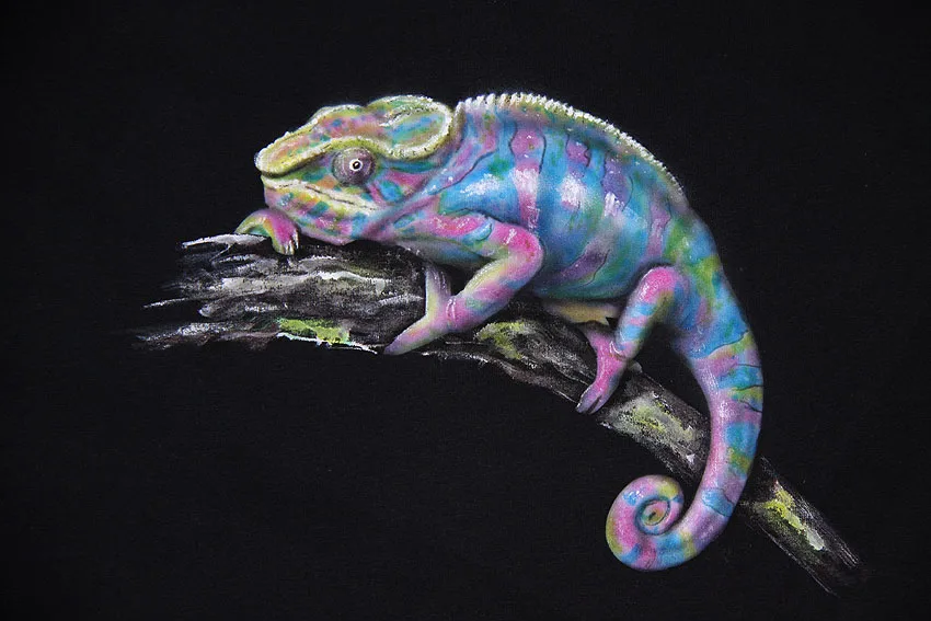 chameleon na černém triku